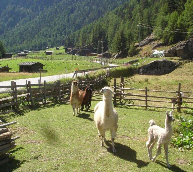 Photo of Others in Meiern