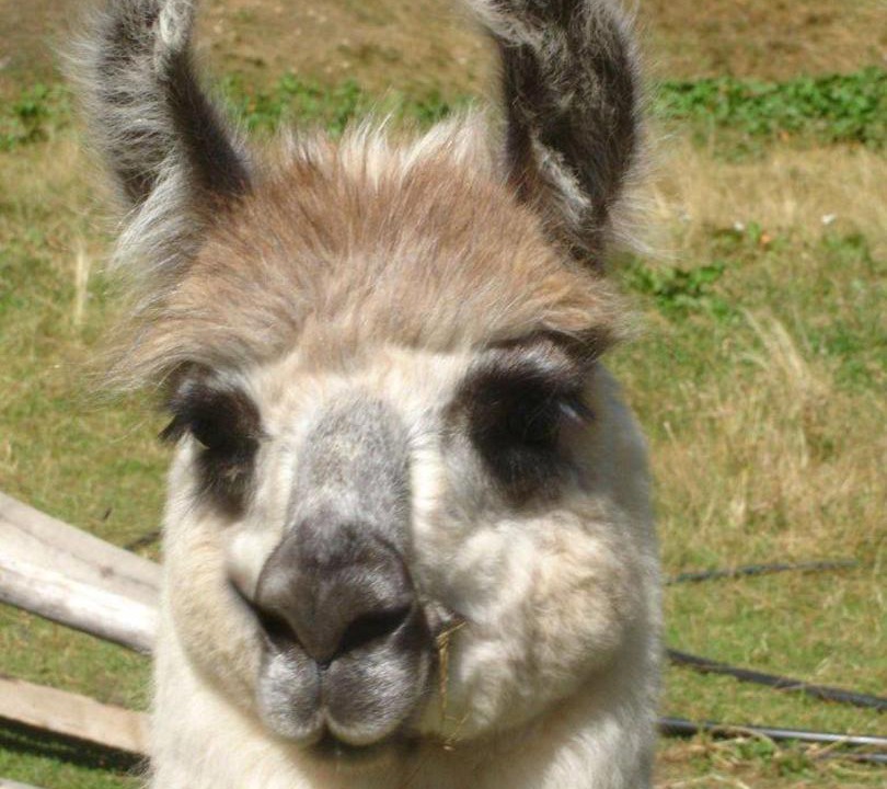 Photo of Others in Meiern