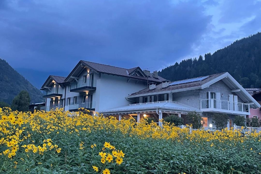Photo of Others in Pinzolo