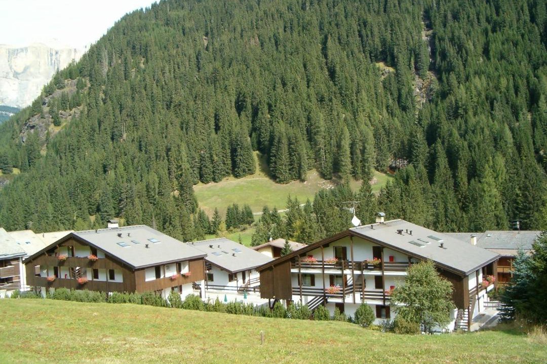 Photo of Others in Alba