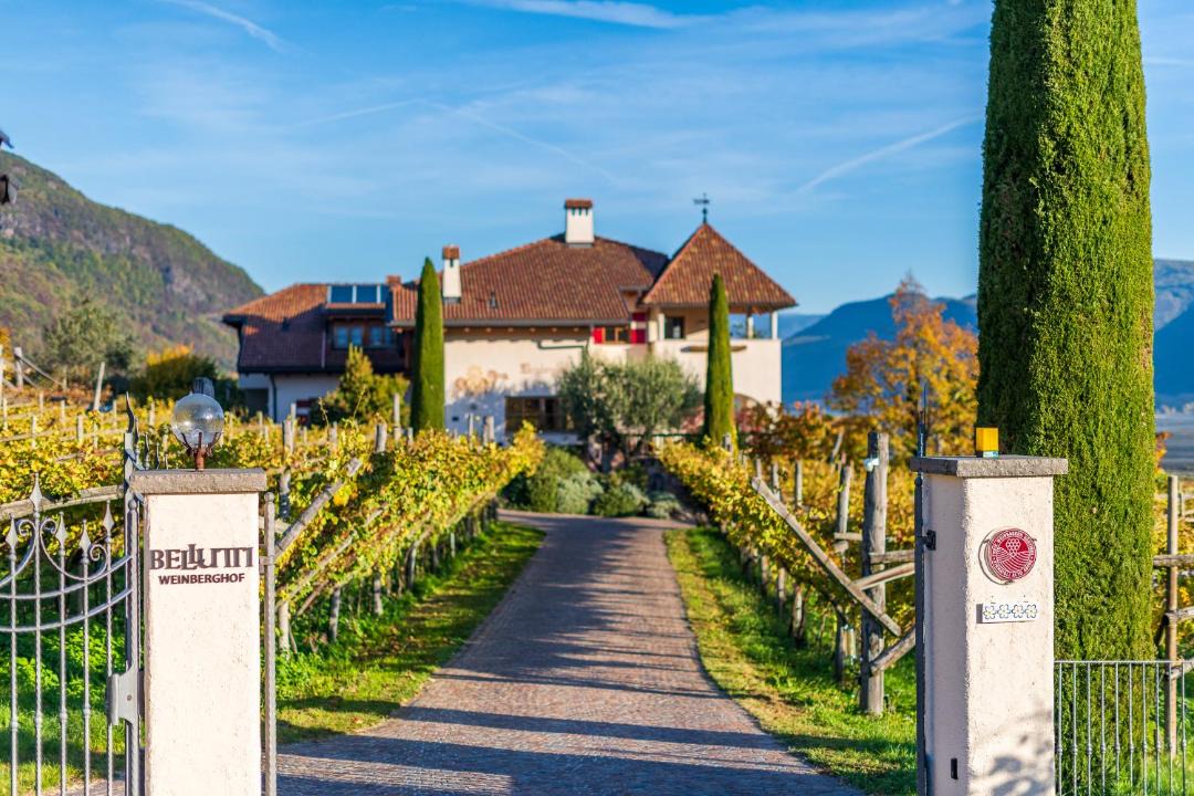 Photo of Others in Tramin