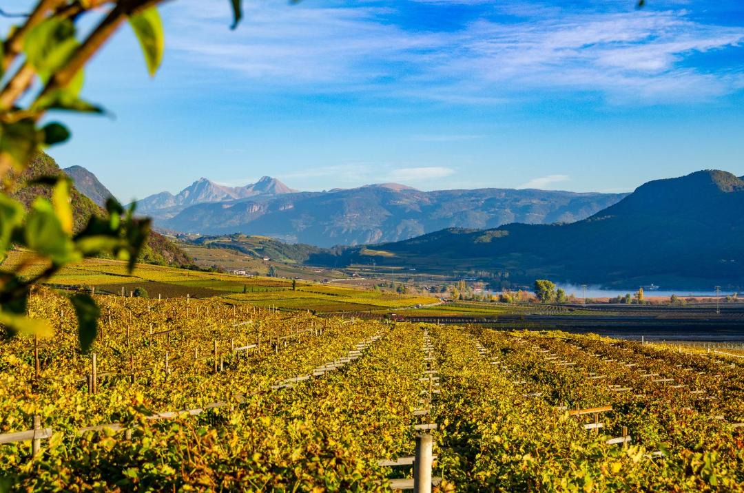 Photo of Others in Tramin