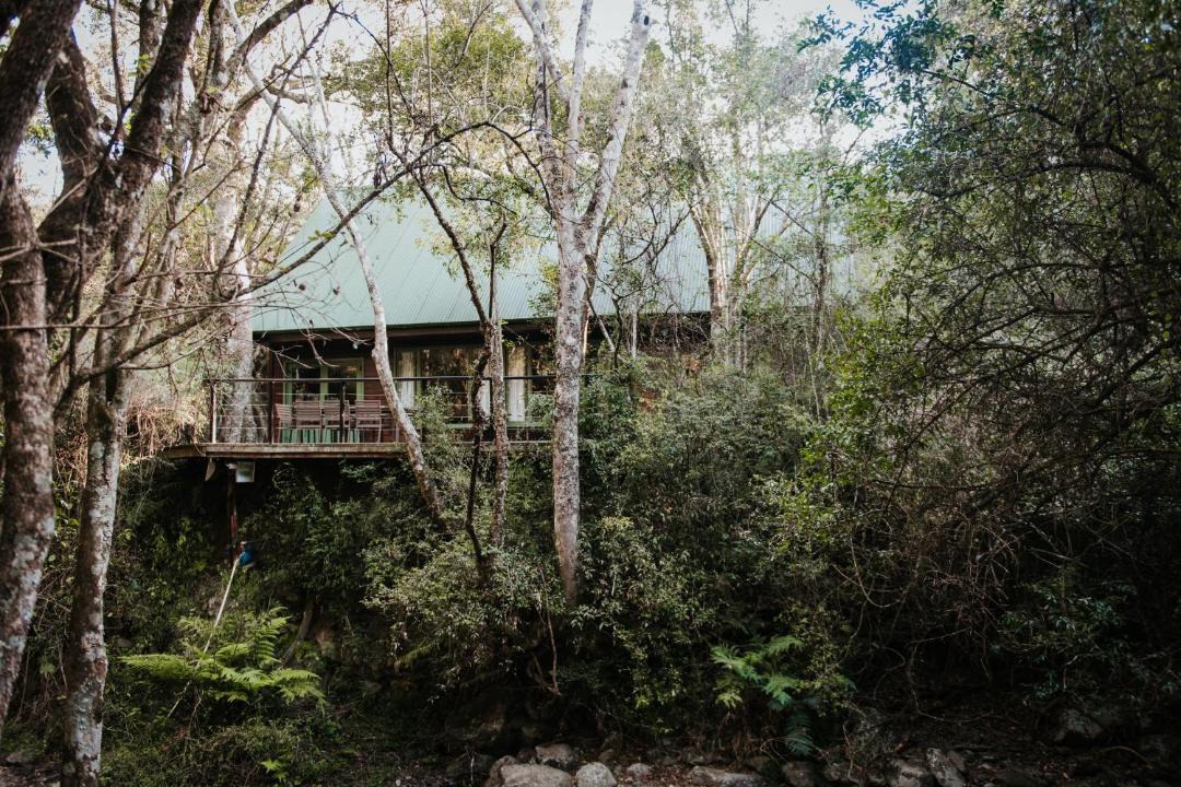 Photo of Others in Karkloof Nature Reserve