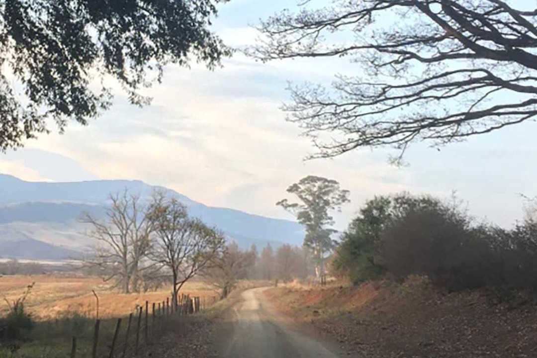 Photo of Others in Karkloof Nature Reserve