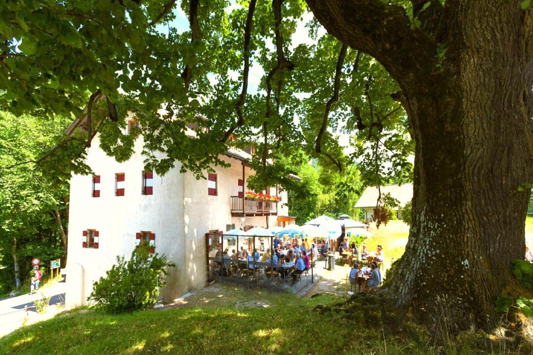 Photo of Others in Magre sulla Strada del Vino
