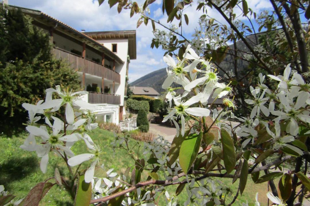 Photo of Others in Santa Valburga