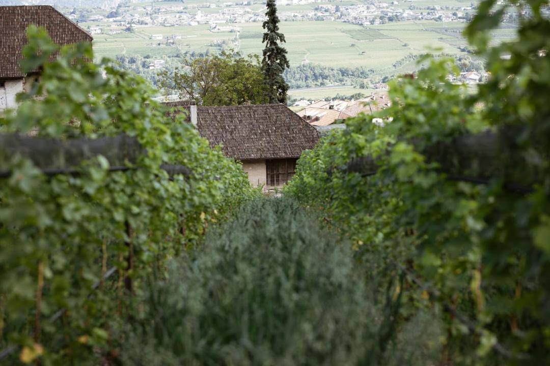 Photo of Others in Berg/Monte