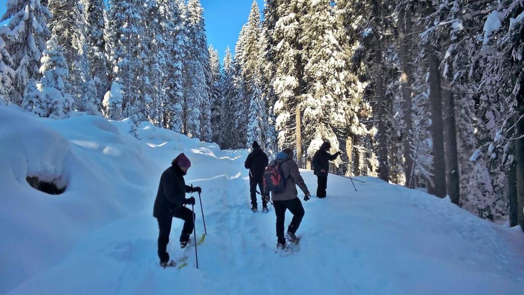 Photo of Others in San Martino di Castrozza