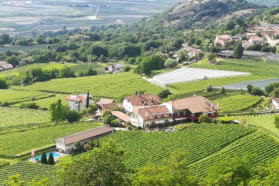 Photo of Others in Montagna