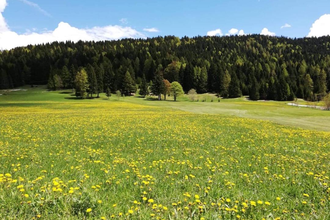 Photo of Others in Folgaria