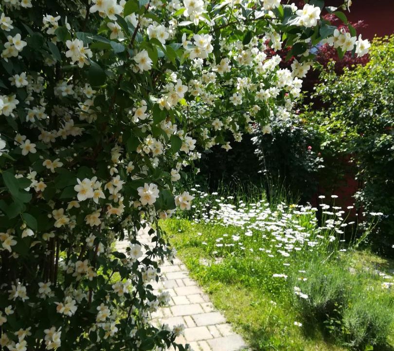 Photo of Outdoor in Denno