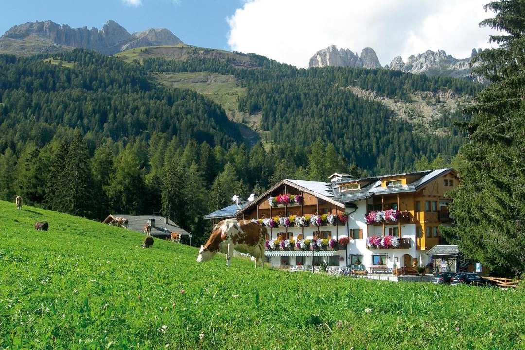 Photo of Others in Vigo di Fassa