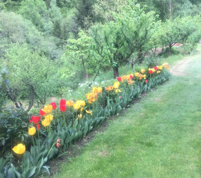 Photo of Outdoor in Valdaone
