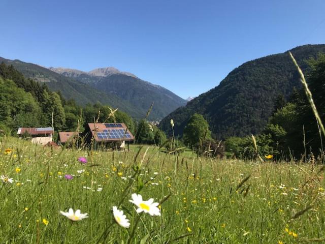 Photo of Others in Tione di Trento