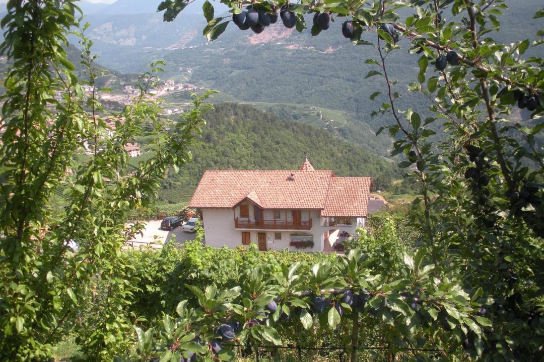 Photo of Others in Giovo