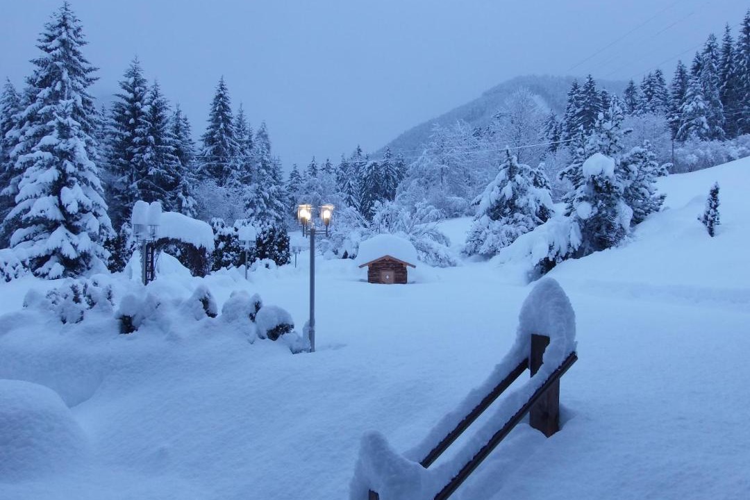 Photo of Others in Montagna