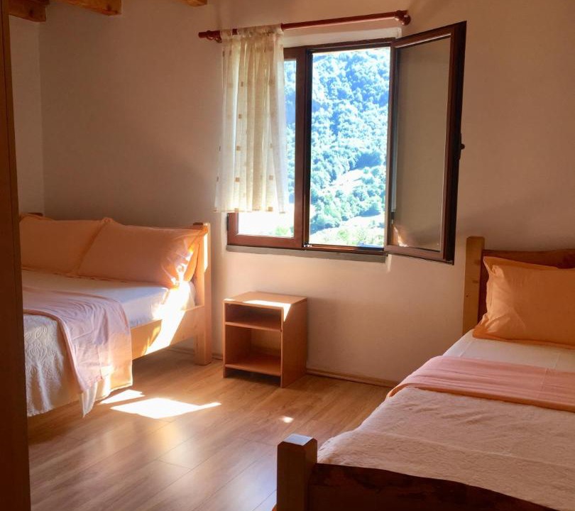 Photo of Others in Shale