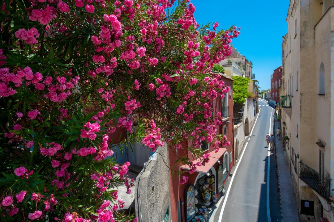 Photo of Others in Positano City Centre
