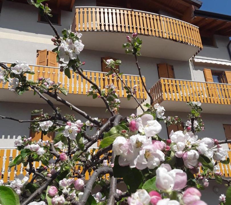 Photo of Buildings in Baselga di Pine