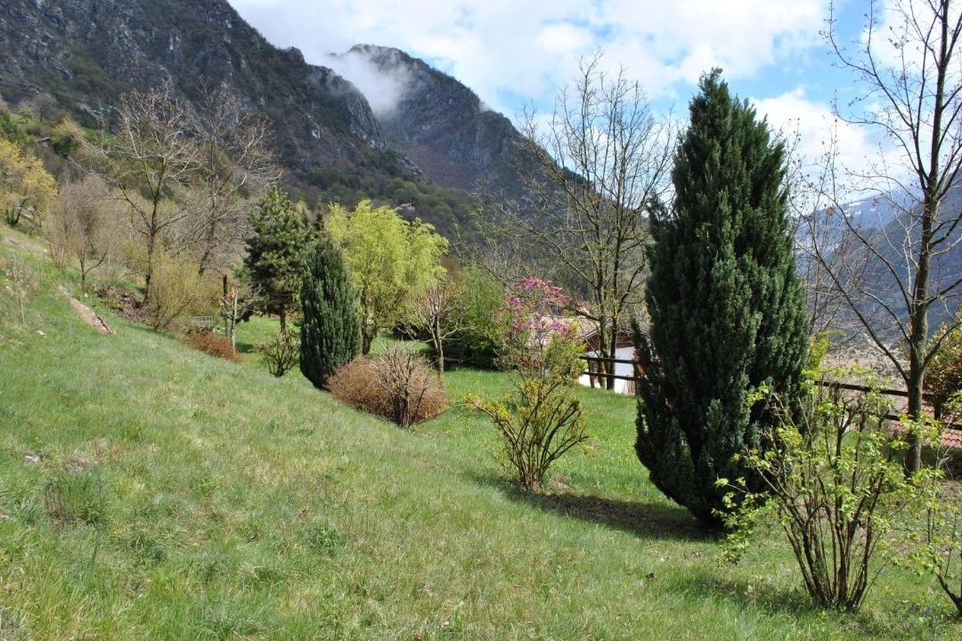 Photo of Others in Molina di Ledro