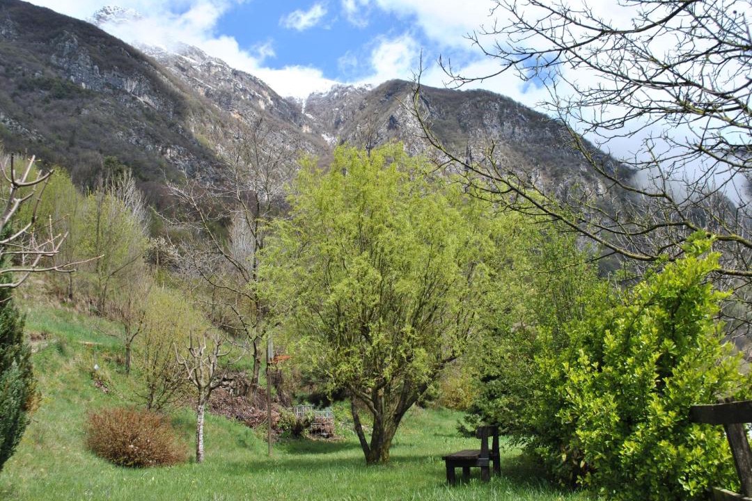 Photo of Others in Molina di Ledro
