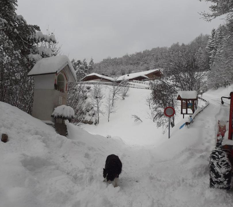 Photo of Buildings in Tesero