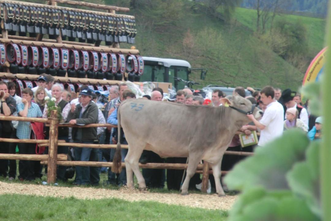 Photo of Others in Meltina