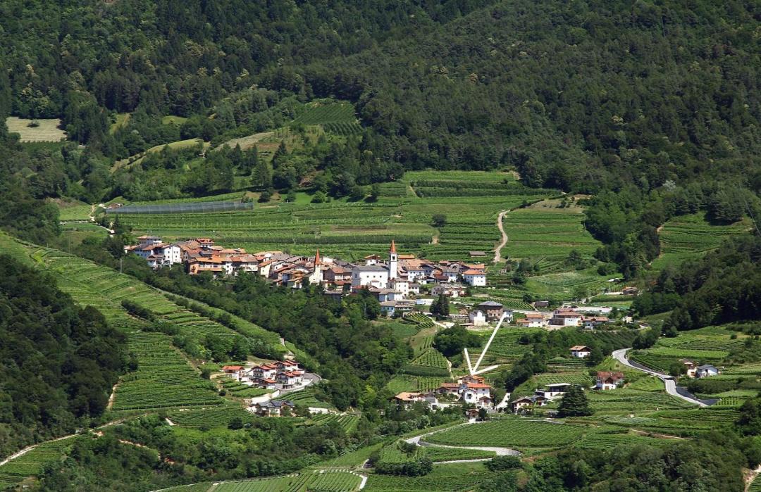 Photo of Others in Faedo