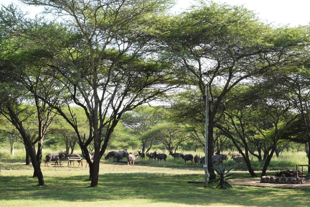 Photo of Others in Jozini