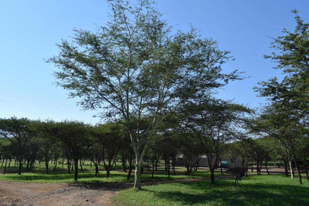 Photo of Outdoor in Jozini