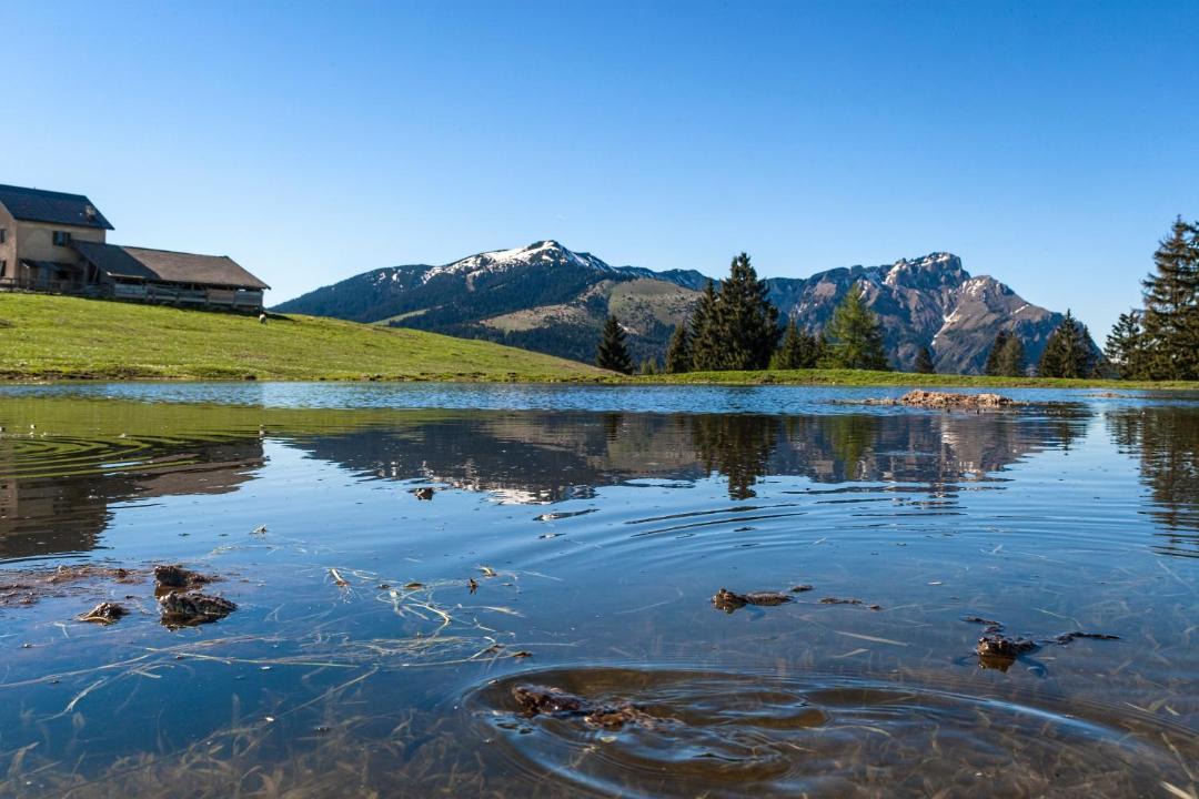 Photo of Outdoor in Serrada