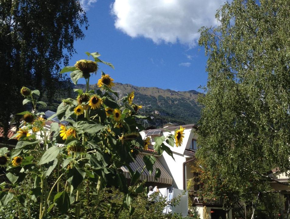 Photo of Others in Sasso