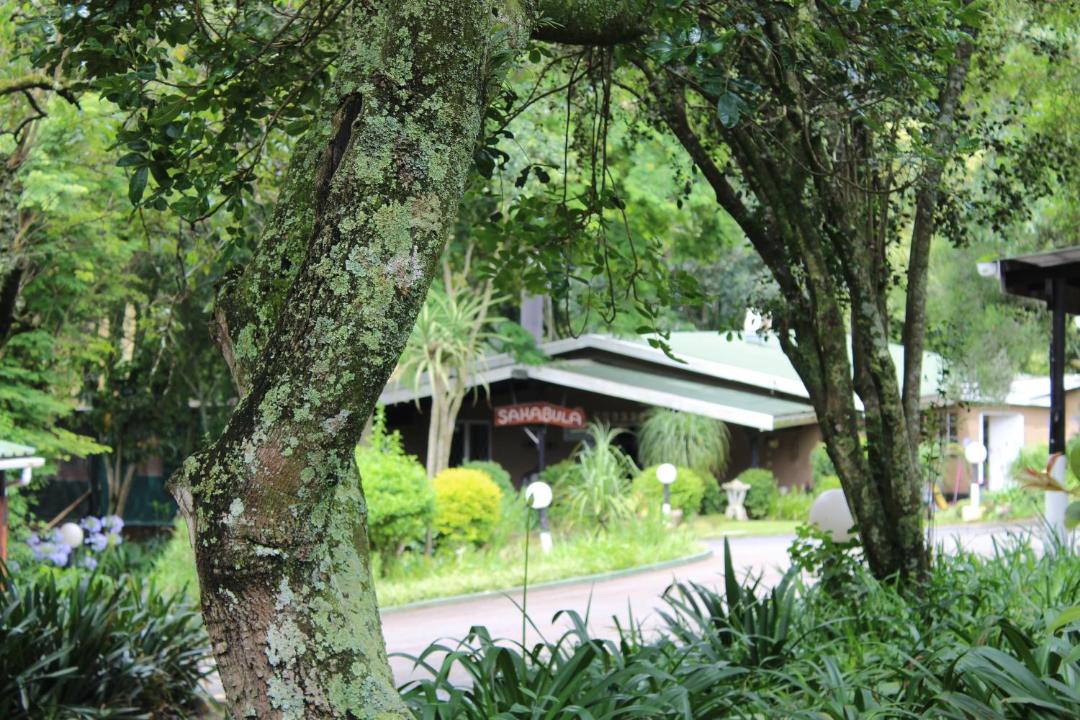 Photo of Others in Camperdown