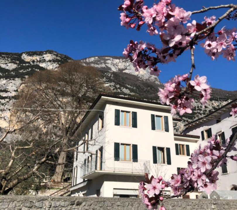 Photo of Buildings in Ceniga