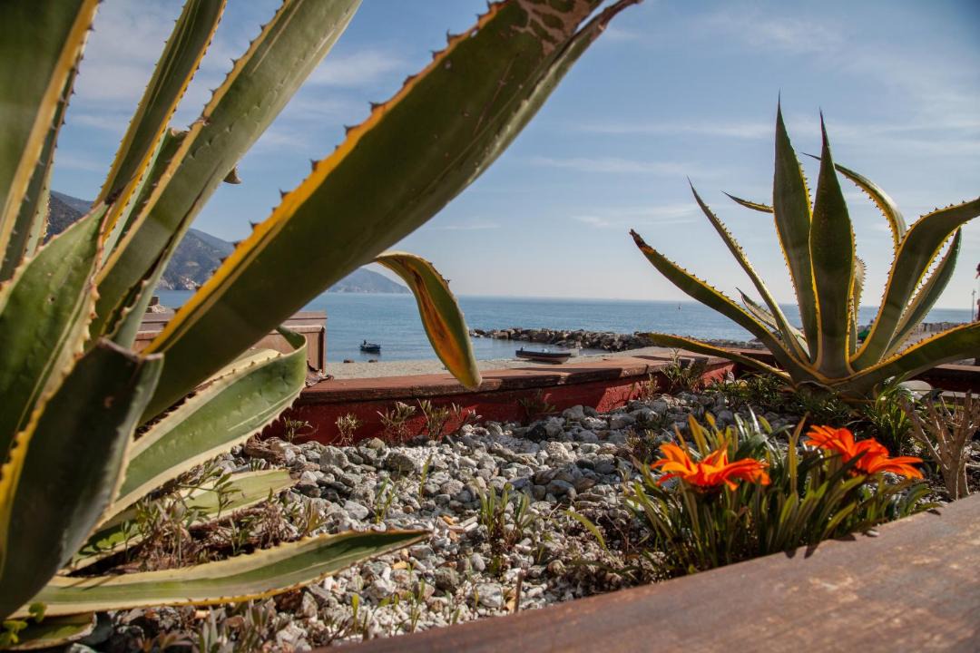 Photo of Others in Cinque Terre