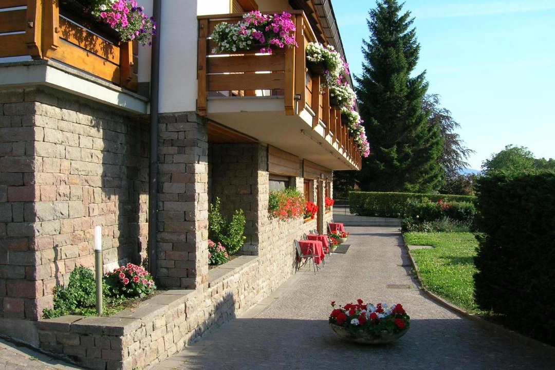 Photo of Others in Baselga di Pine