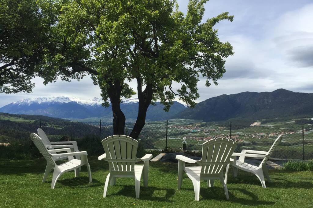 Photo of Others in Fondo