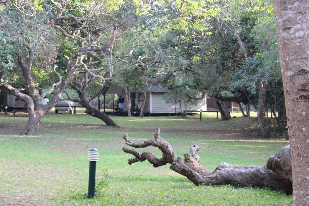 Photo of Others in Sodwana Bay National Park
