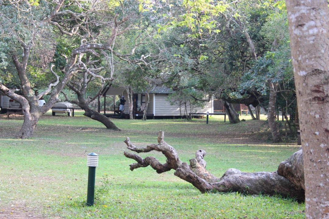 Photo of Others in Sodwana Bay National Park