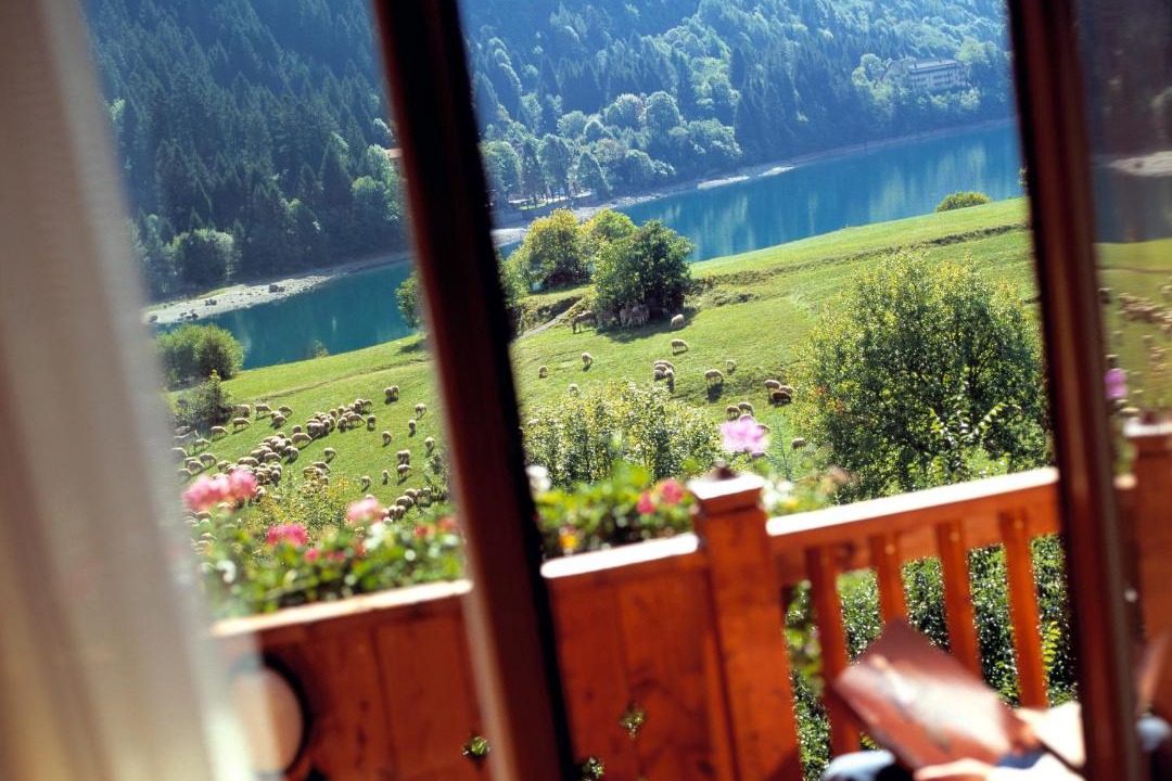 Photo of Others in Molveno