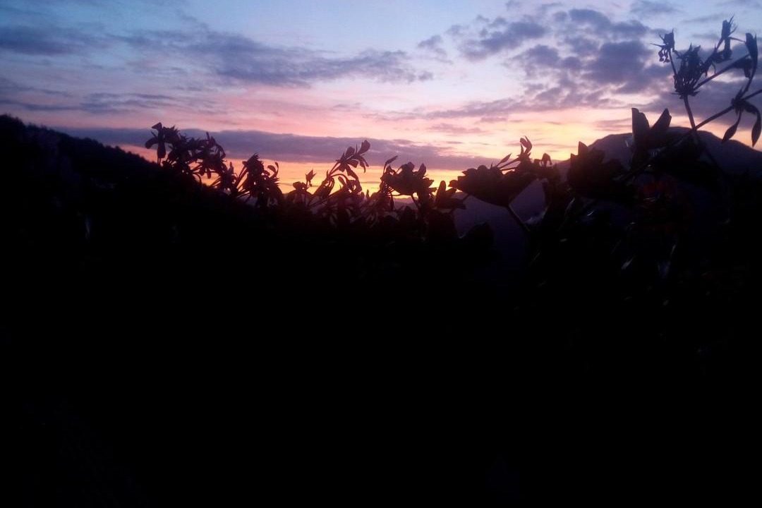 Photo of Outdoor in Ultimo