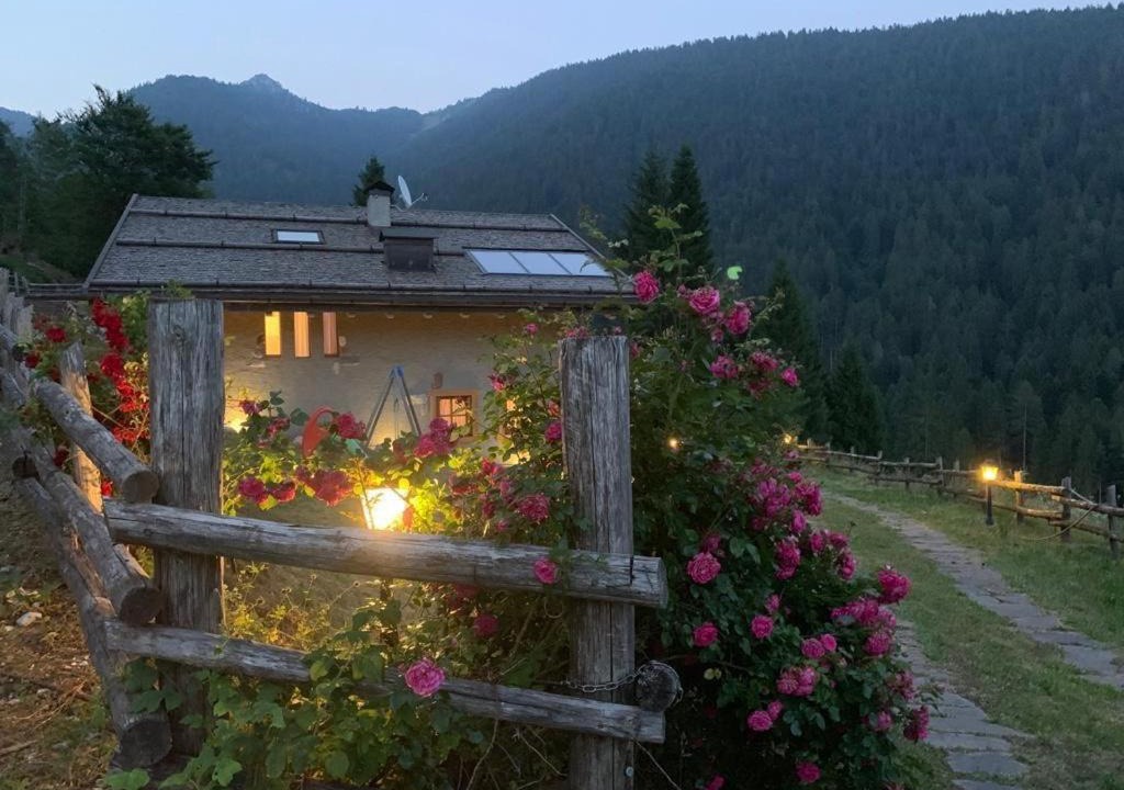 Photo of Others in Montagne