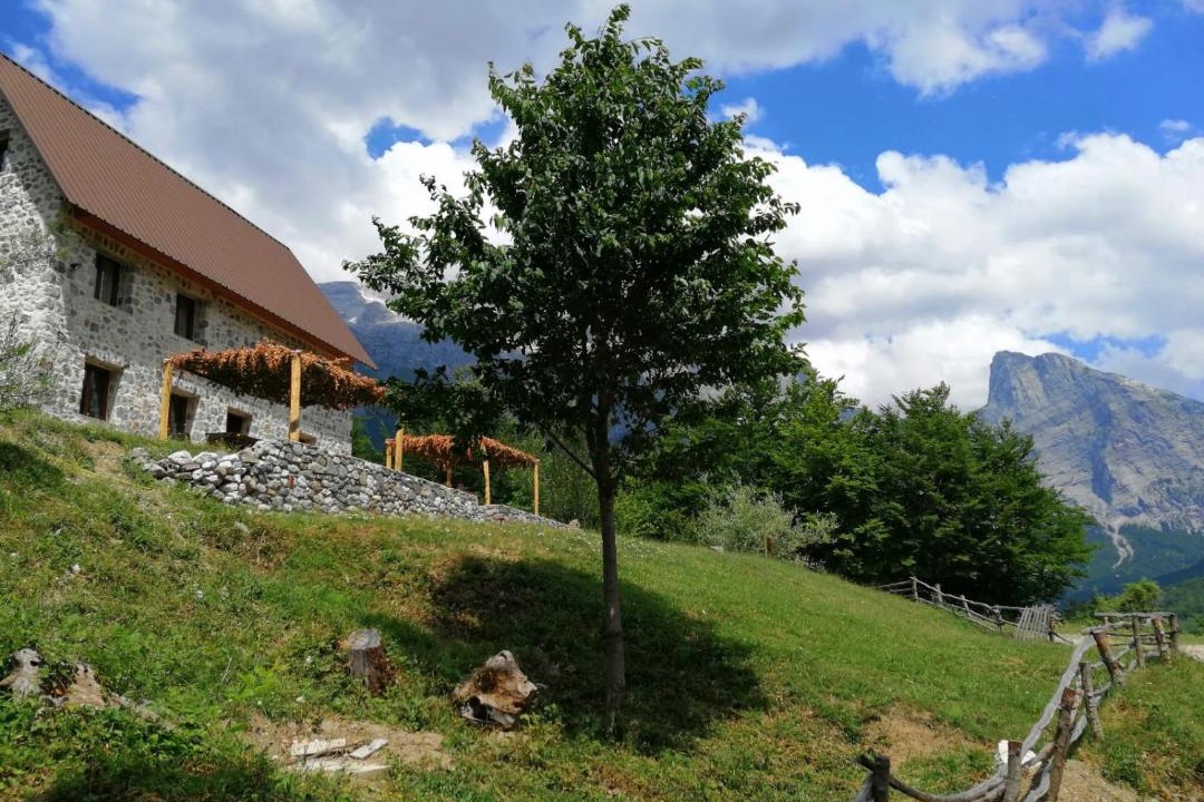 Photo of Others in Shale