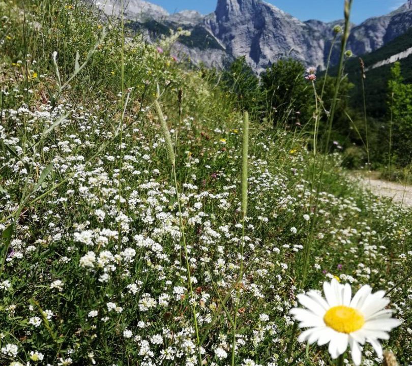 Photo of Others in Shale