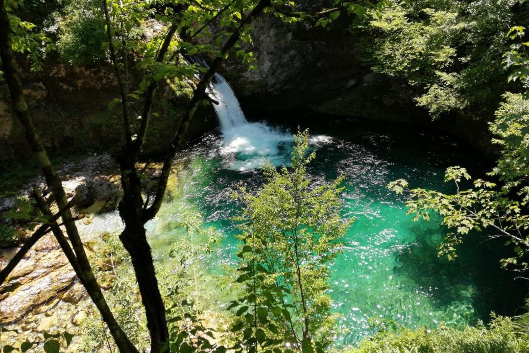 Photo of Others in Shale