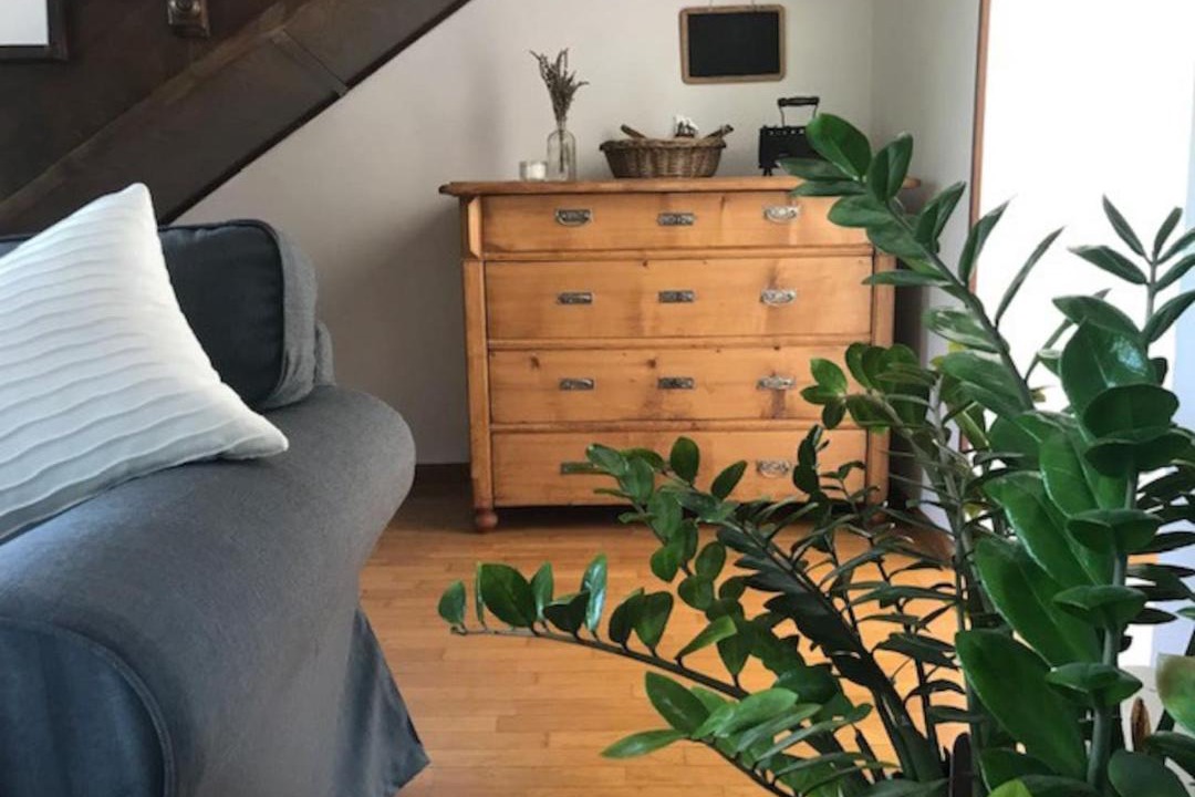 Photo of Livingroom in Calavino