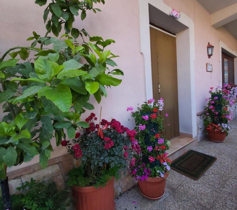 Photo of Others in Agerola