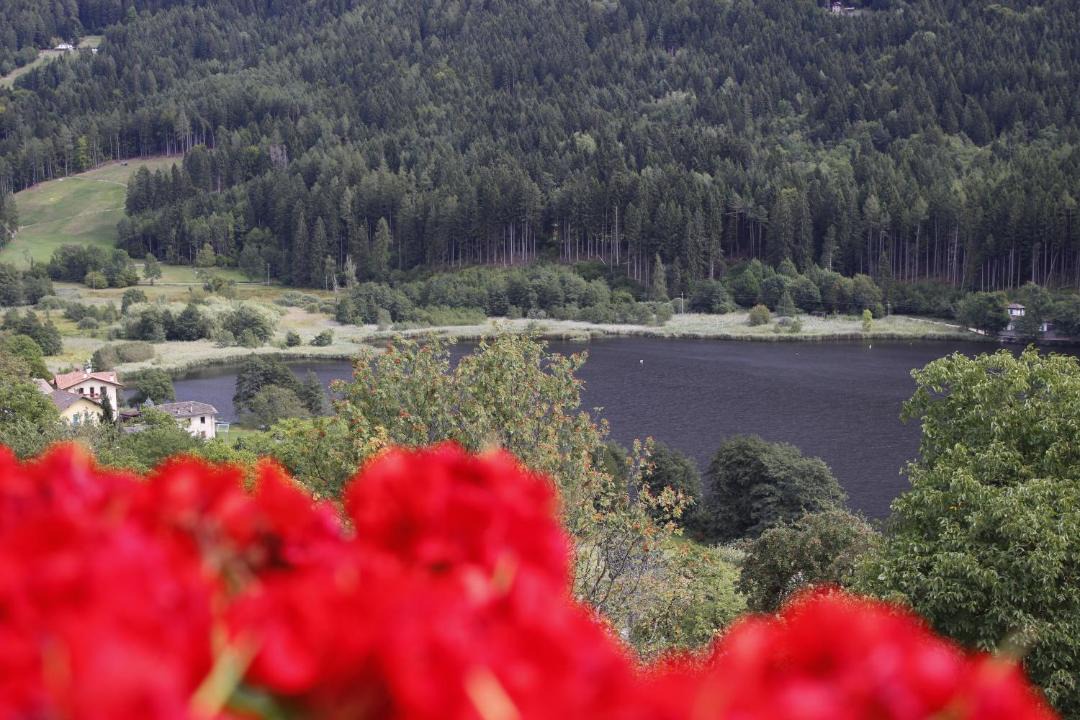 Photo of Others in Baselga di Pine