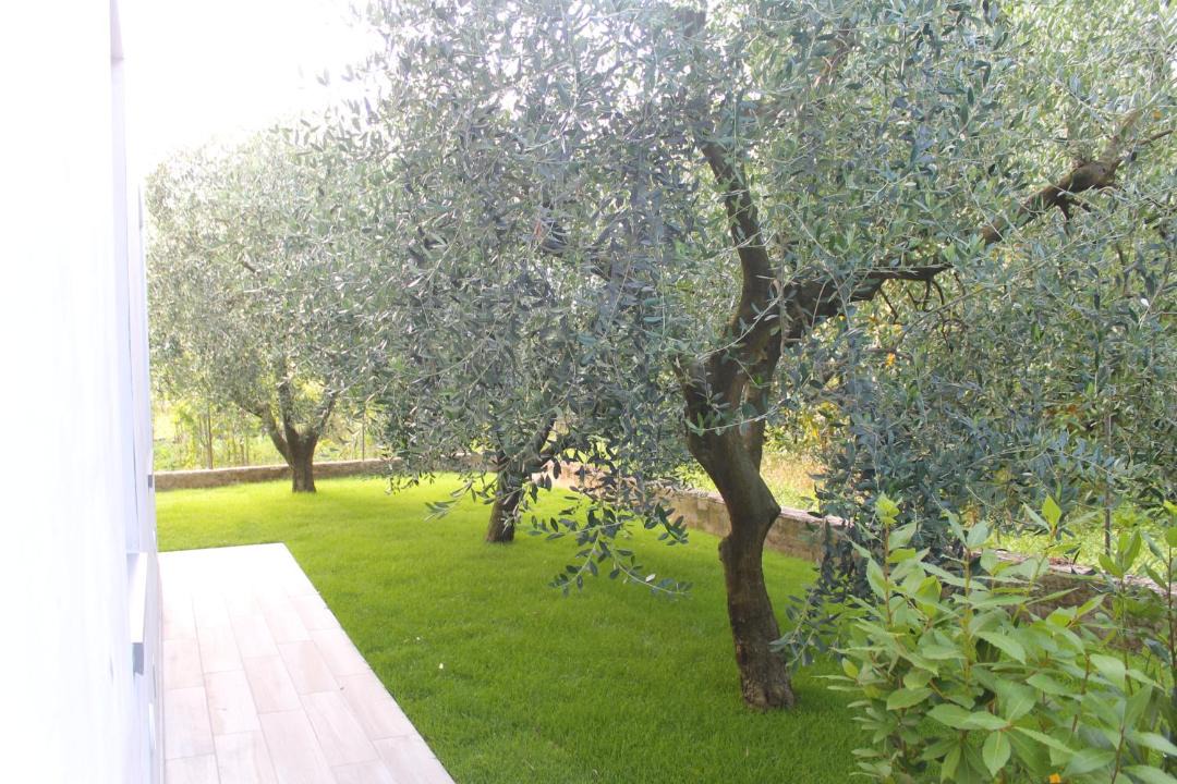 Photo of Others in Riva del Garda
