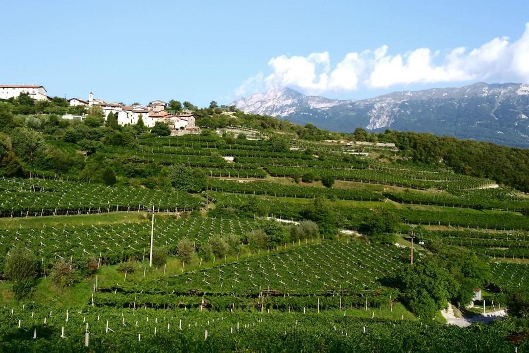 Photo of Others in Rovereto